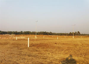 Plot Demarcation Works
