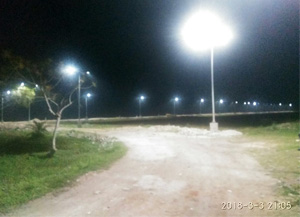 Street Lights- Night View